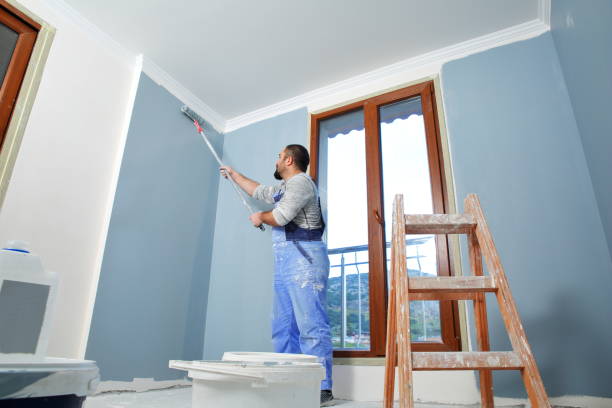 Best Drywall Removal and Disposal  in USA